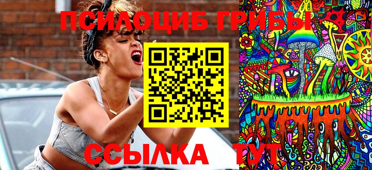 Карачаевск  Псилоцибиновые грибы мицелий  Вход с VPN 