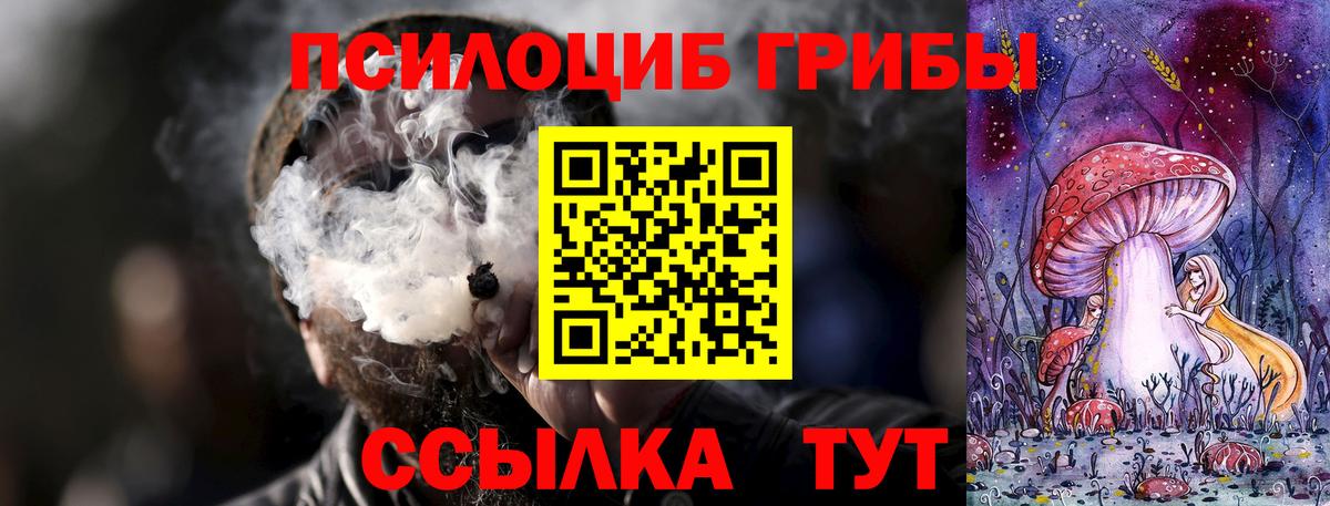 Псилоцибиновые грибы Cubensis Карачаевск